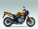 CBF 600  model 2008 zlatá